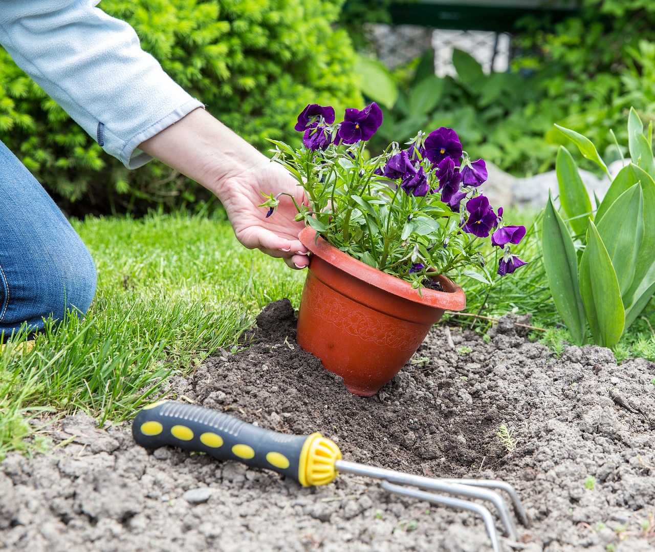 Effective Ways to Secure Your Backyard